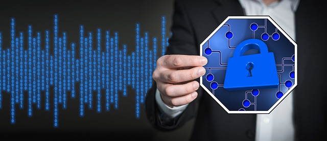El futuro de los sistemas operativos: Conoce las tendencias que darán forma al panorama digital Seguridad y privacidad